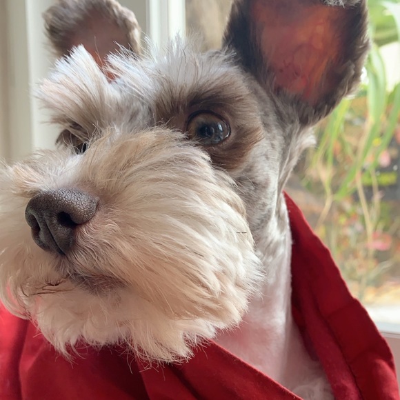 Meet your Posher, David - Picture 1 of 7